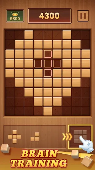 Wood Block 99 - Sudoku Puzzle (Вуд Блок 99)  [МОД Бесконечные монеты] Screenshot 2