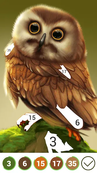 Hola Color--Coloring by Number (ола калор)  [МОД Unlimited Money] Screenshot 3