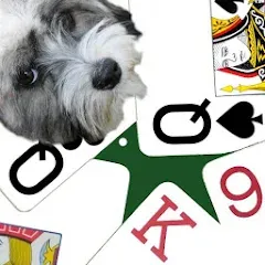 Скачать взлом K9 Sheepshead (Schafkopf) (Шипсхед)  [МОД Много денег] - последняя версия apk на Андроид
