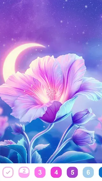 Fancy Color - Paint By Number (Фэнси Колор)  [МОД Бесконечные деньги] Screenshot 2