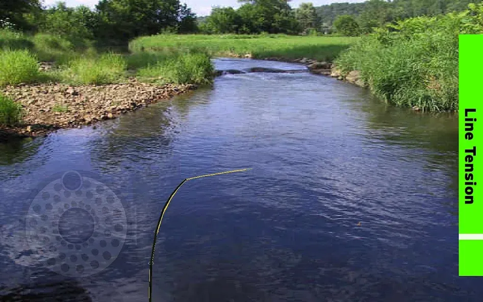 Fly Fishing Simulator (Флай Фишинг Симулятор)  [МОД Много денег] Screenshot 4
