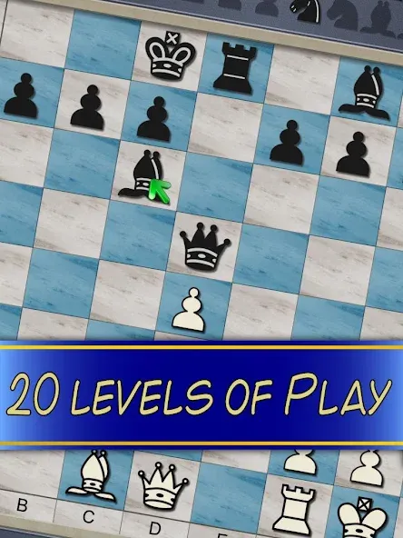 Chess V+ - board game of kings  [МОД Бесконечные деньги] Screenshot 5